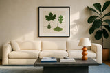 Leaf Chart II Shiplap by Wild Apple Portfolio. Displayed in a glass frame with matte in a clean modern living room. Available as an archival giclee rolled canvas, fine art paper, or poster print. SKU 46605a.