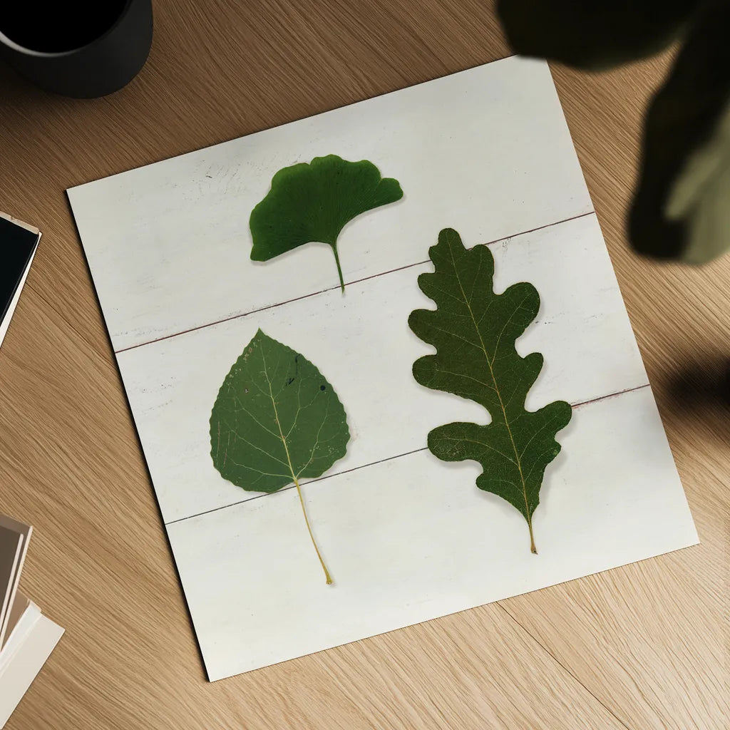 Leaf Chart III Shiplap by Wild Apple Portfolio. Shown as a detailed flat fine art print, highlighting archival giclee quality. Available as an archival giclee rolled canvas, fine art paper, or poster print. SKU 46606a.