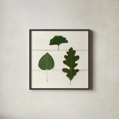 Leaf Chart III Shiplap by Wild Apple Portfolio. Shown in a sleek black glass frame for a contemporary gallery look. Available as an archival giclee rolled canvas, fine art paper, or poster print. SKU 46606a.