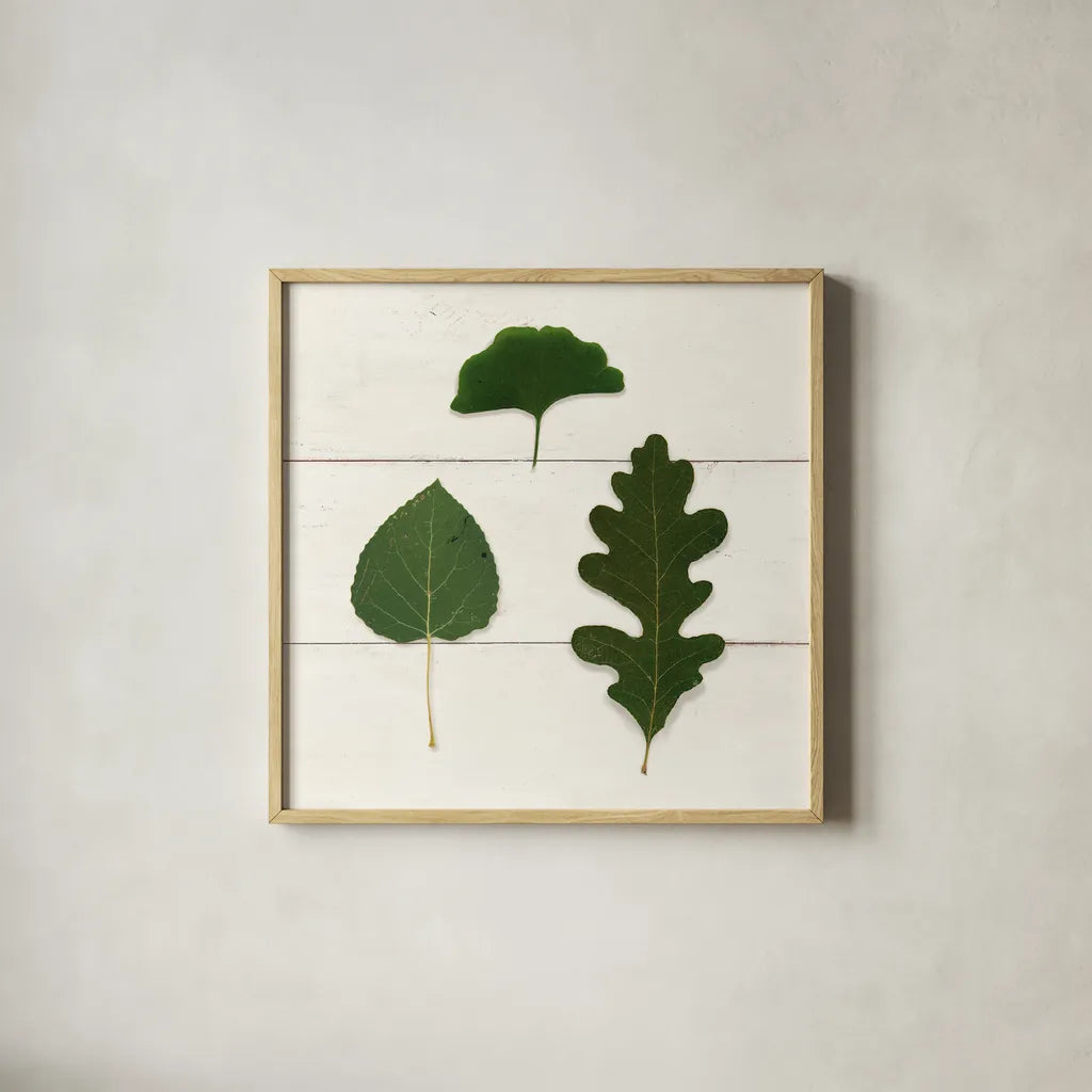 Leaf Chart III Shiplap by Wild Apple Portfolio. Shown in a natural wood glass frame for a timeless modern aesthetic. Available as an archival giclee rolled canvas, fine art paper, or poster print. SKU 46606a.