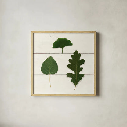 Leaf Chart III Shiplap by Wild Apple Portfolio. Shown in a natural wood glass frame for a timeless modern aesthetic. Available as an archival giclee rolled canvas, fine art paper, or poster print. SKU 46606a.