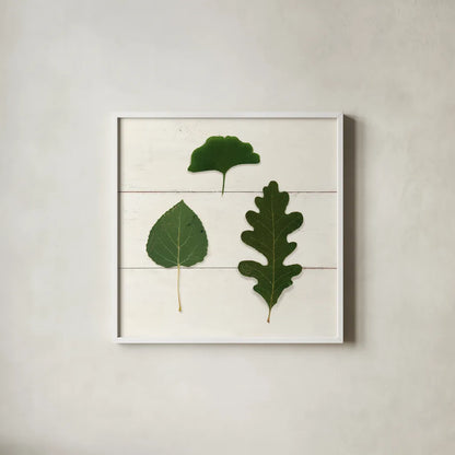 Leaf Chart III Shiplap by Wild Apple Portfolio. Shown in a crisp white glass frame for a clean and minimalist style. Available as an archival giclee rolled canvas, fine art paper, or poster print. SKU 46606a.