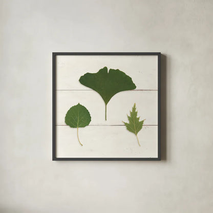 Leaf Chart IV Shiplap by Wild Apple Portfolio. Shown in a sleek black glass frame for a contemporary gallery look. Available as an archival giclee rolled canvas, fine art paper, or poster print. SKU 46607a.