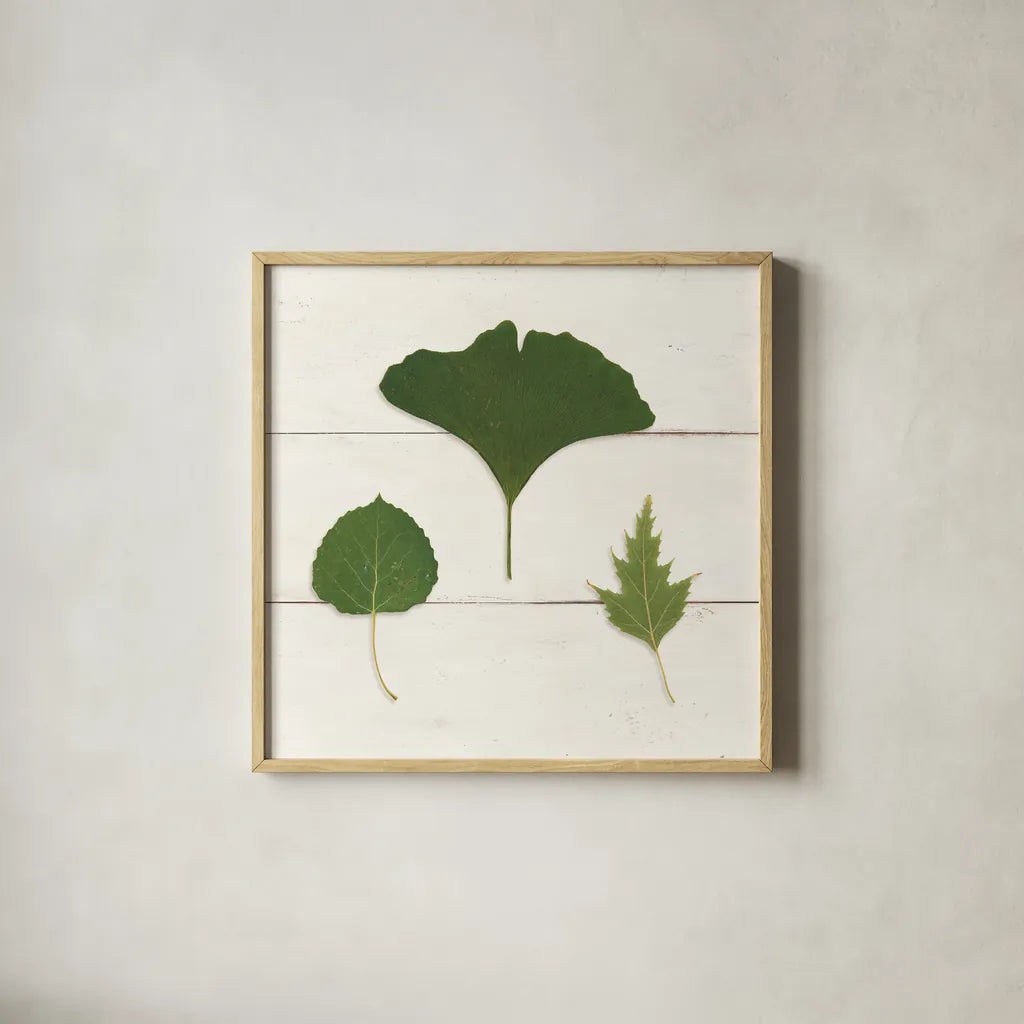Leaf Chart IV Shiplap by Wild Apple Portfolio. Shown in a natural wood glass frame for a timeless modern aesthetic. Available as an archival giclee rolled canvas, fine art paper, or poster print. SKU 46607a.