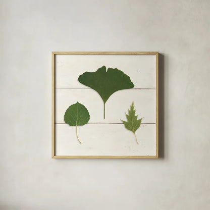 Leaf Chart IV Shiplap by Wild Apple Portfolio. Shown in a natural wood glass frame for a timeless modern aesthetic. Available as an archival giclee rolled canvas, fine art paper, or poster print. SKU 46607a.