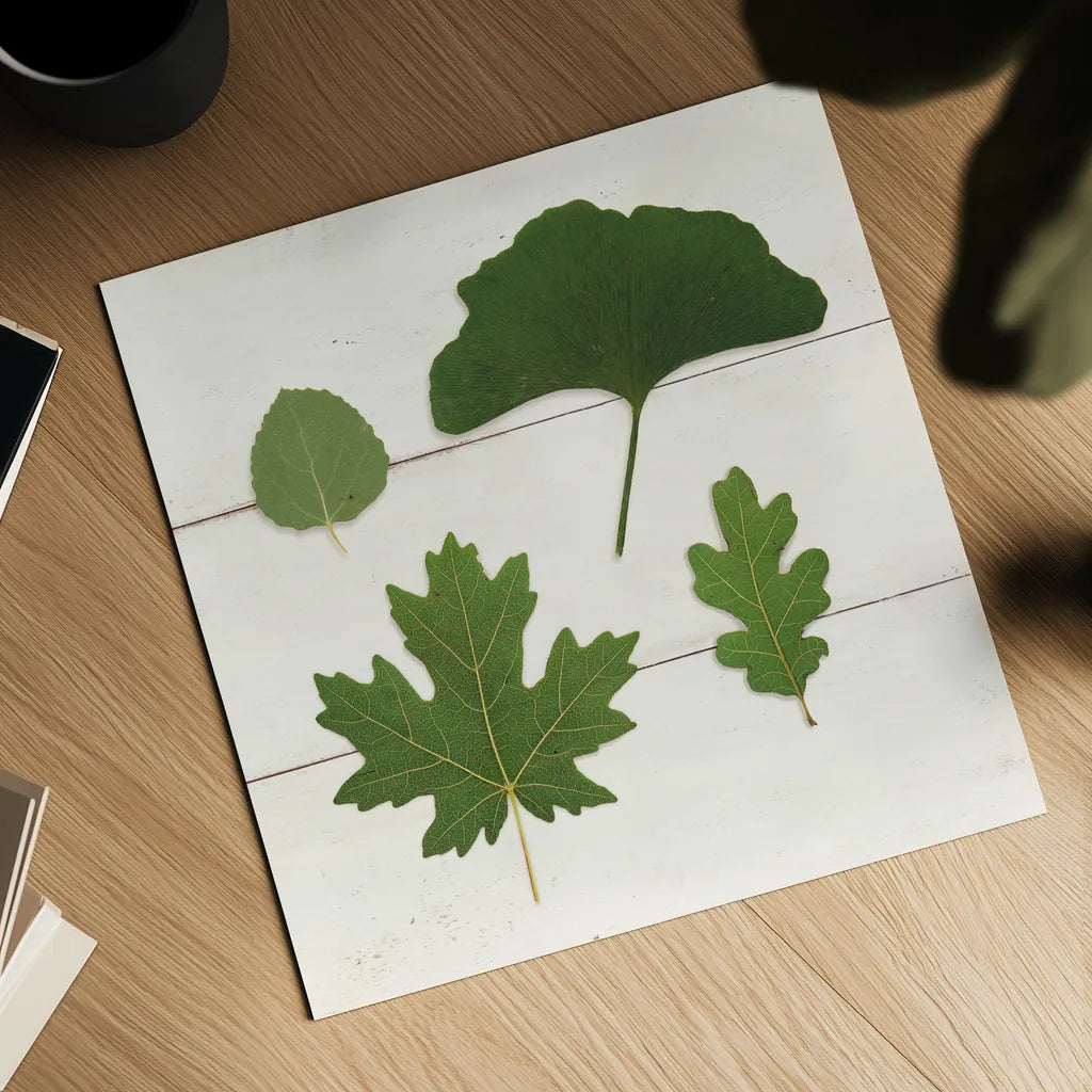 Leaf Chart V Shiplap by Wild Apple Portfolio. Shown as a detailed flat fine art print, highlighting archival giclee quality. Available as an archival giclee rolled canvas, fine art paper, or poster print. SKU 46608a.