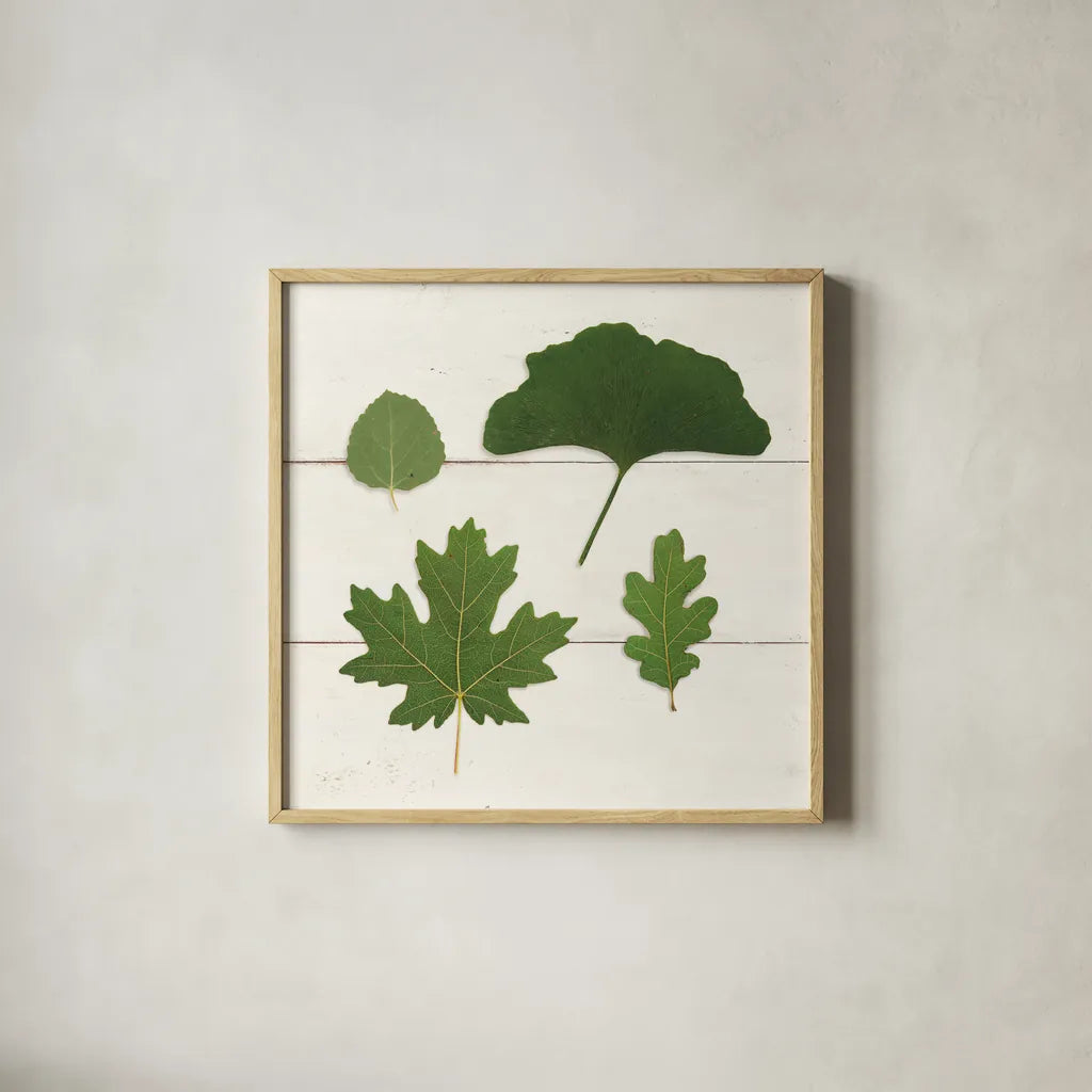 Leaf Chart V Shiplap by Wild Apple Portfolio. Shown in a natural wood glass frame for a timeless modern aesthetic. Available as an archival giclee rolled canvas, fine art paper, or poster print. SKU 46608a.