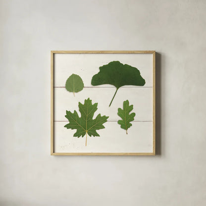 Leaf Chart V Shiplap by Wild Apple Portfolio. Shown in a natural wood glass frame for a timeless modern aesthetic. Available as an archival giclee rolled canvas, fine art paper, or poster print. SKU 46608a.