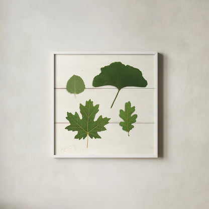 Leaf Chart V Shiplap by Wild Apple Portfolio. Shown in a crisp white glass frame for a clean and minimalist style. Available as an archival giclee rolled canvas, fine art paper, or poster print. SKU 46608a.
