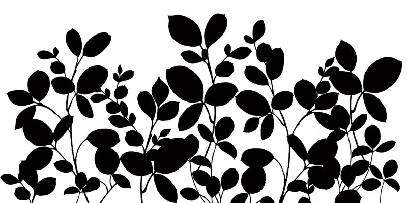 Leafy Grove by Wild Apple Portfolio