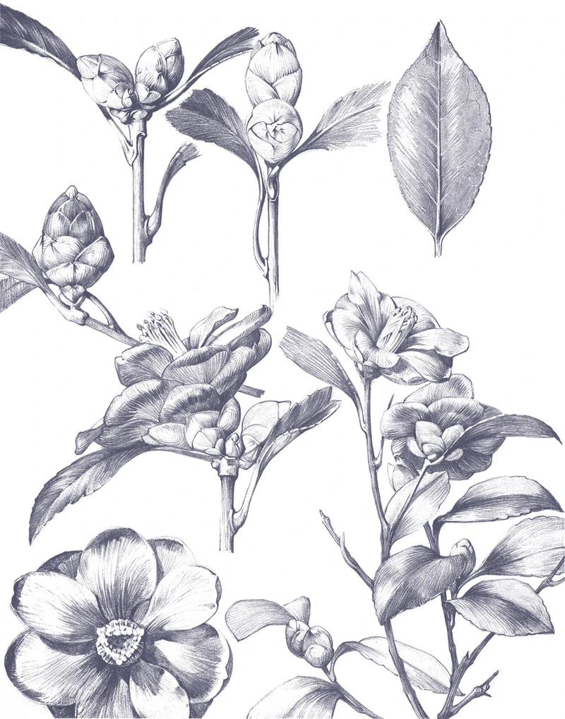 Lithograph Florals II Blue by Wild Apple Portfolio