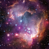 Magellanic Cloud Galaxy by Wild Apple Portfolio. SKU 89316a. Archival Giclee Fine art print for wall decor.