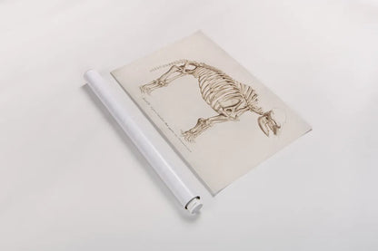 Mammoth Illustrated by Wild Apple Portfolio. shown as a rolled paper print. Available as archival giclee rolled canvas, fine art paper, or poster print. SKU 90317i.