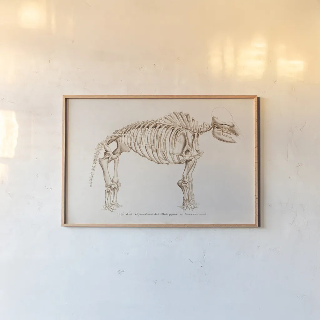 Mammoth Illustrated by Wild Apple Portfolio. shown as a paper print in a natural frame. Available as a archival giclee rolled canvas, fine art paper, or poster print. SKU 90317i.