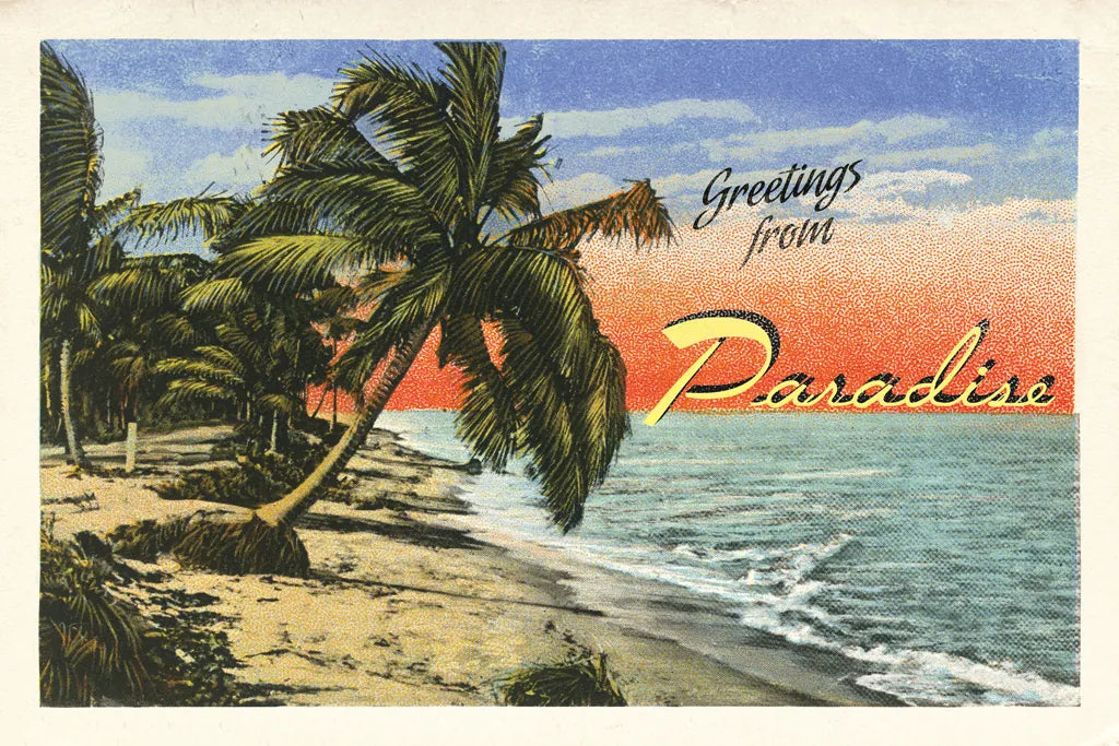 Miami Beach Palms by Wild Apple Portfolio. SKU 54512i. Archival Giclee Fine art print for wall decor.