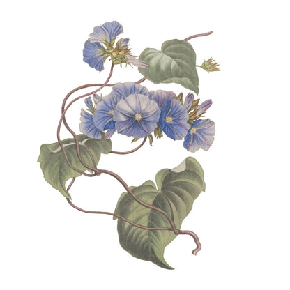 Monument Etching Tile Flowers I by Wild Apple Portfolio. SKU 53758a. Archival Giclee Fine art print for wall decor.