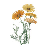 Monument Etching Tile Flowers II by Wild Apple Portfolio. SKU 53759a. Archival Giclee Fine art print for wall decor.