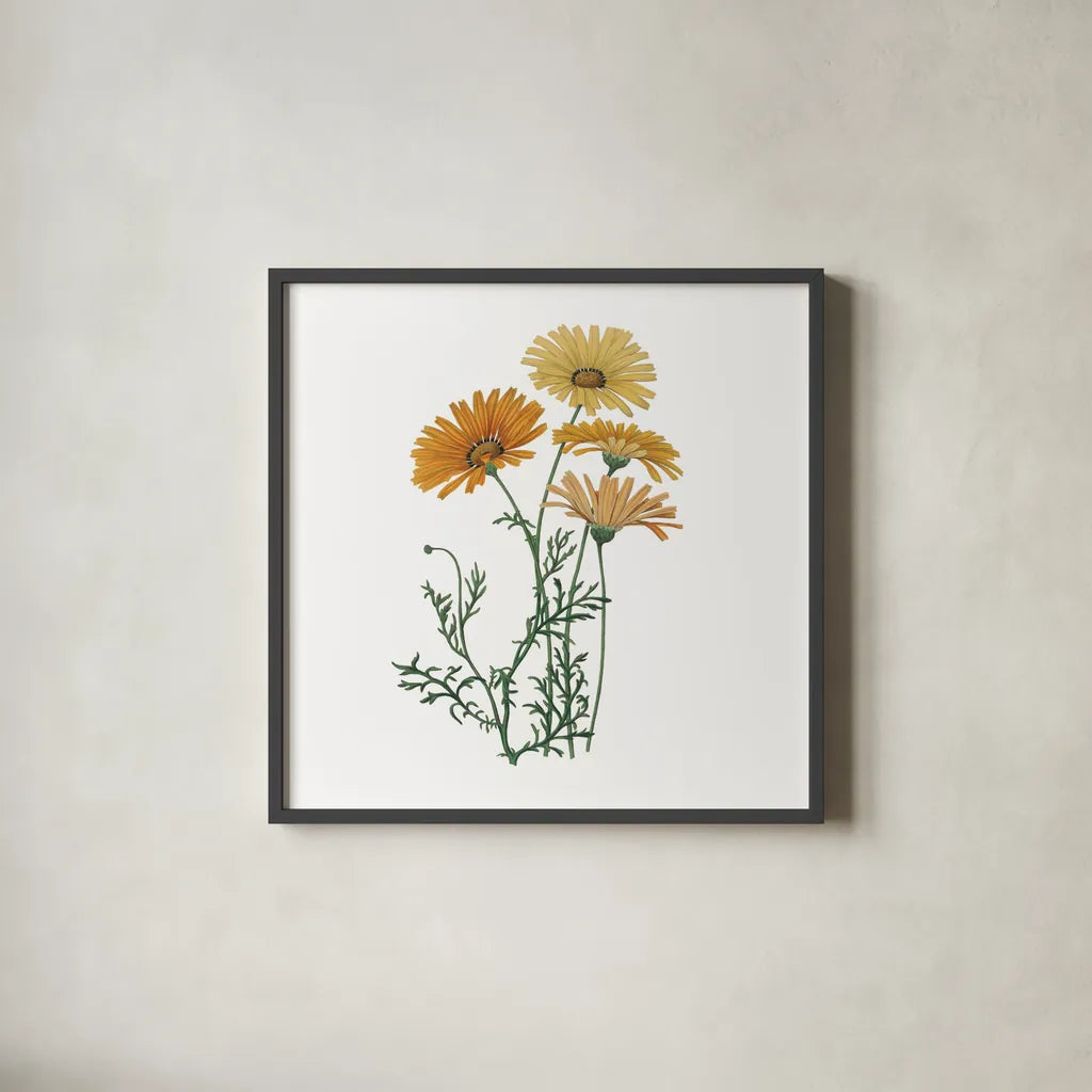 Monument Etching Tile Flowers II by Wild Apple Portfolio. Shown in a sleek black glass frame for a contemporary gallery look. Available as an archival giclee rolled canvas, fine art paper, or poster print. SKU 53759a.