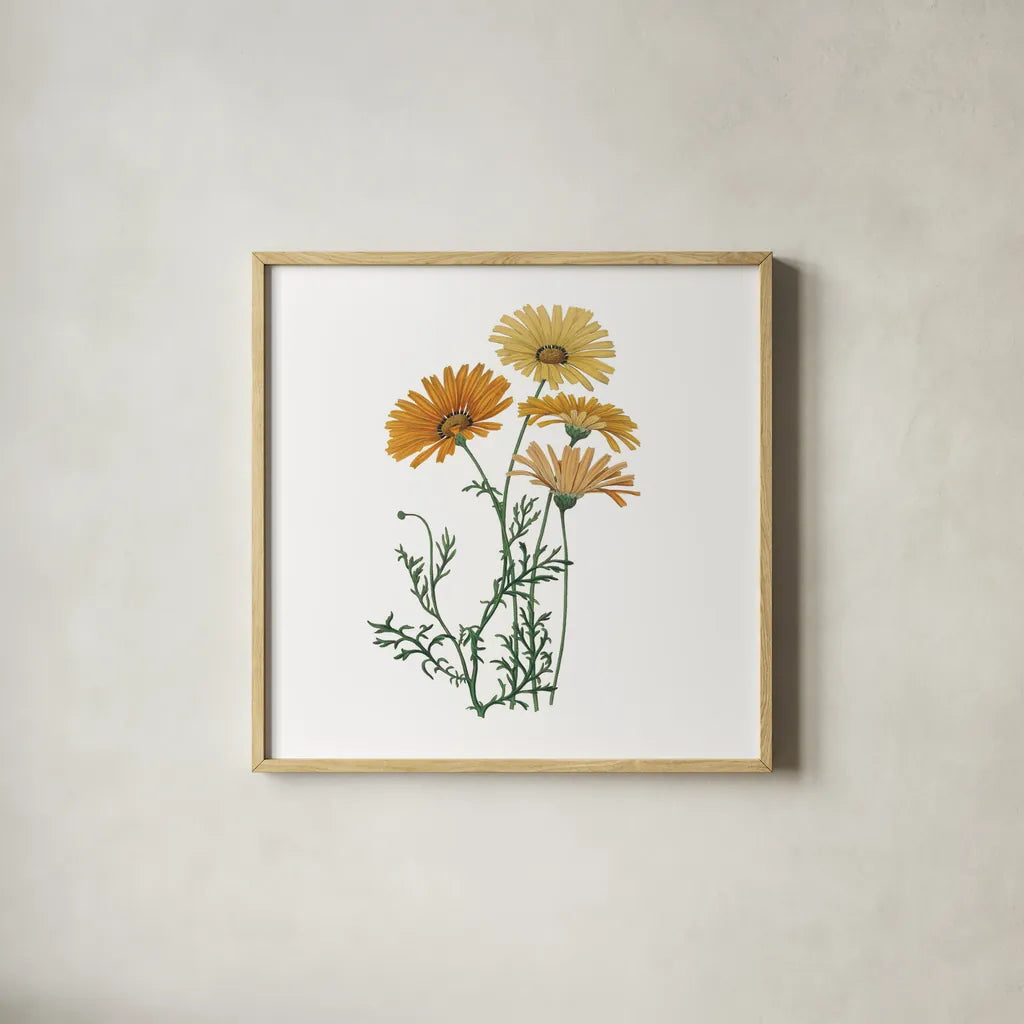 Monument Etching Tile Flowers II by Wild Apple Portfolio. Shown in a natural wood glass frame for a timeless modern aesthetic. Available as an archival giclee rolled canvas, fine art paper, or poster print. SKU 53759a.
