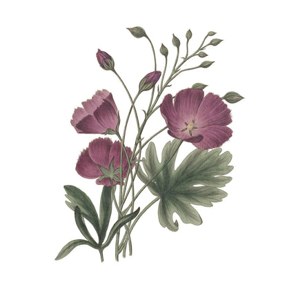 Monument Etching Tile Flowers III by Wild Apple Portfolio. SKU 53760a. Archival Giclee Fine art print for wall decor.