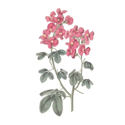 Monument Etching Tile Flowers IV by Wild Apple Portfolio. SKU 53761a. Archival Giclee Fine art print for wall decor.