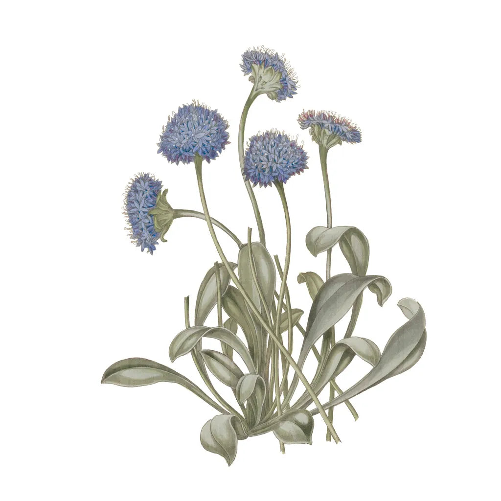 Monument Etching Tile Flowers IX by Wild Apple Portfolio. SKU 53766a. Archival Giclee Fine art print for wall decor.