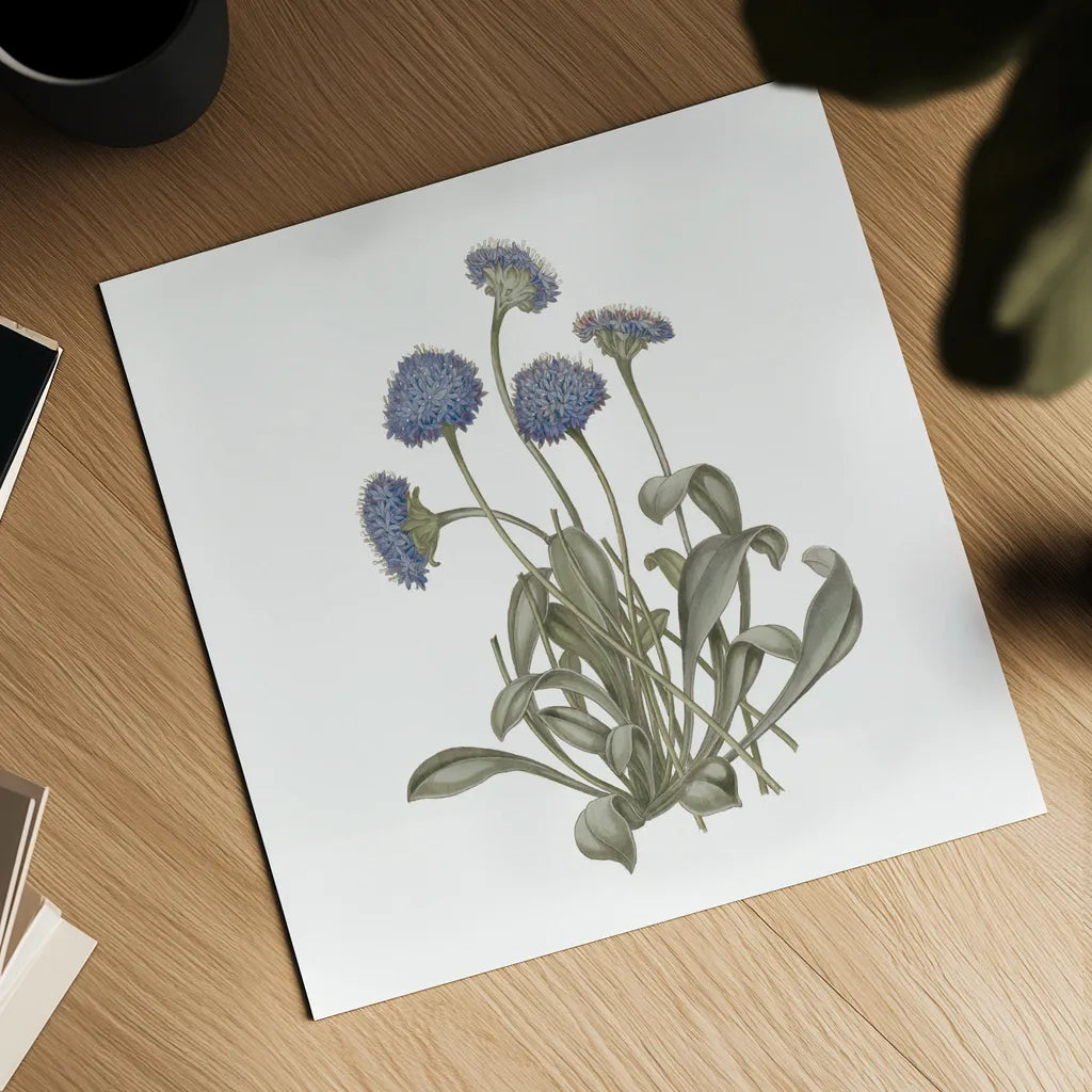 Monument Etching Tile Flowers IX by Wild Apple Portfolio. Shown as a detailed flat fine art print, highlighting archival giclee quality. Available as an archival giclee rolled canvas, fine art paper, or poster print. SKU 53766a.