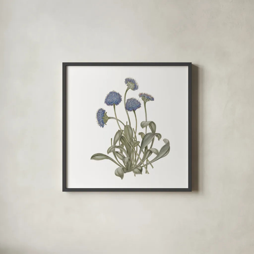 Monument Etching Tile Flowers IX by Wild Apple Portfolio. Shown in a sleek black glass frame for a contemporary gallery look. Available as an archival giclee rolled canvas, fine art paper, or poster print. SKU 53766a.
