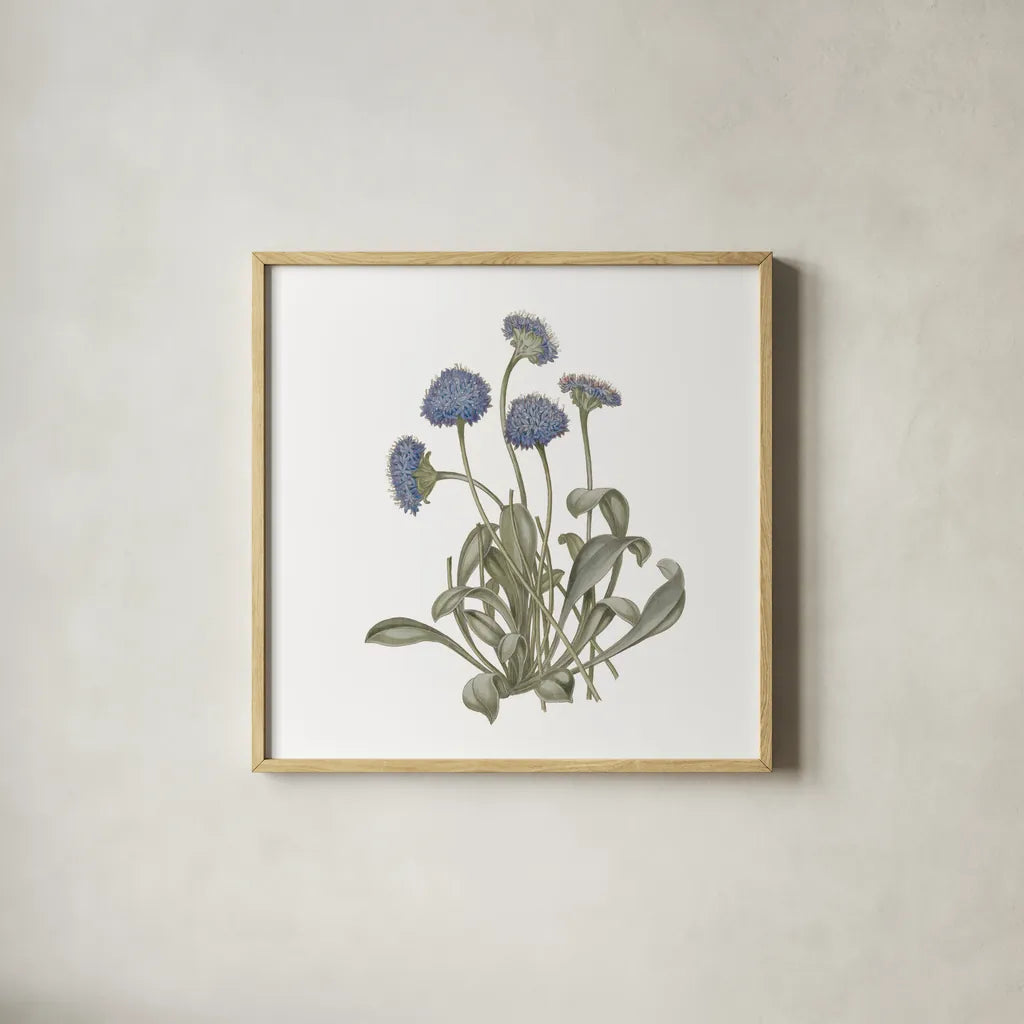 Monument Etching Tile Flowers IX by Wild Apple Portfolio. Shown in a natural wood glass frame for a timeless modern aesthetic. Available as an archival giclee rolled canvas, fine art paper, or poster print. SKU 53766a.