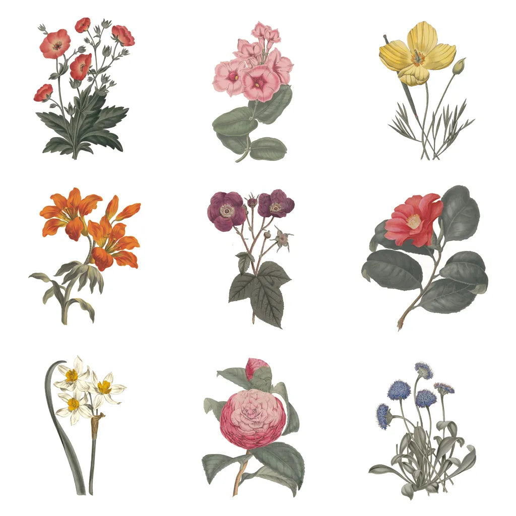 Monument Etching Tile Flowers Sq II White by Wild Apple Portfolio. SKU 63754a. Archival Giclee Fine art print for wall decor.