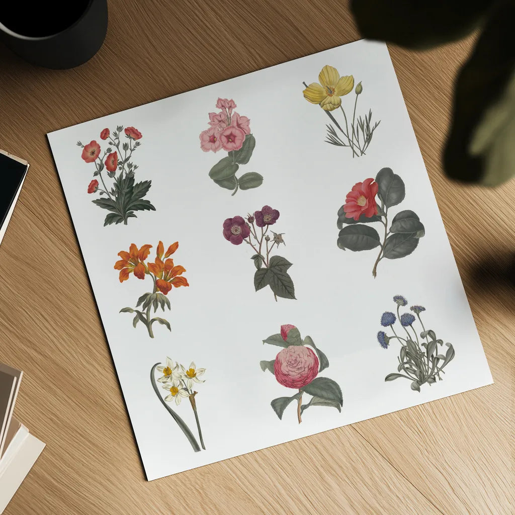 Monument Etching Tile Flowers Sq II White by Wild Apple Portfolio. Shown as a detailed flat fine art print, highlighting archival giclee quality. Available as an archival giclee rolled canvas, fine art paper, or poster print. SKU 63754a.