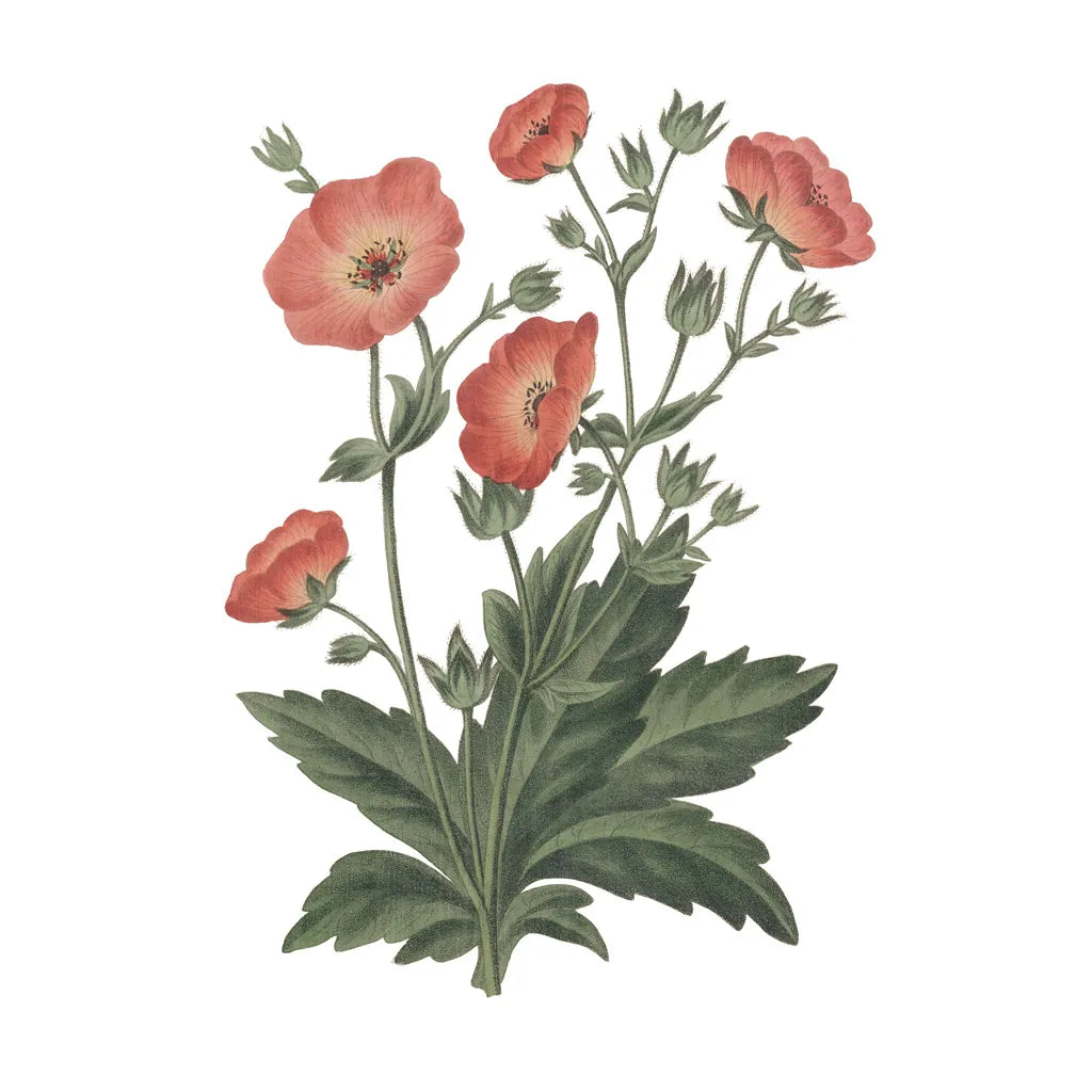 Monument Etching Tile Flowers V by Wild Apple Portfolio. SKU 53762a. Archival Giclee Fine art print for wall decor.