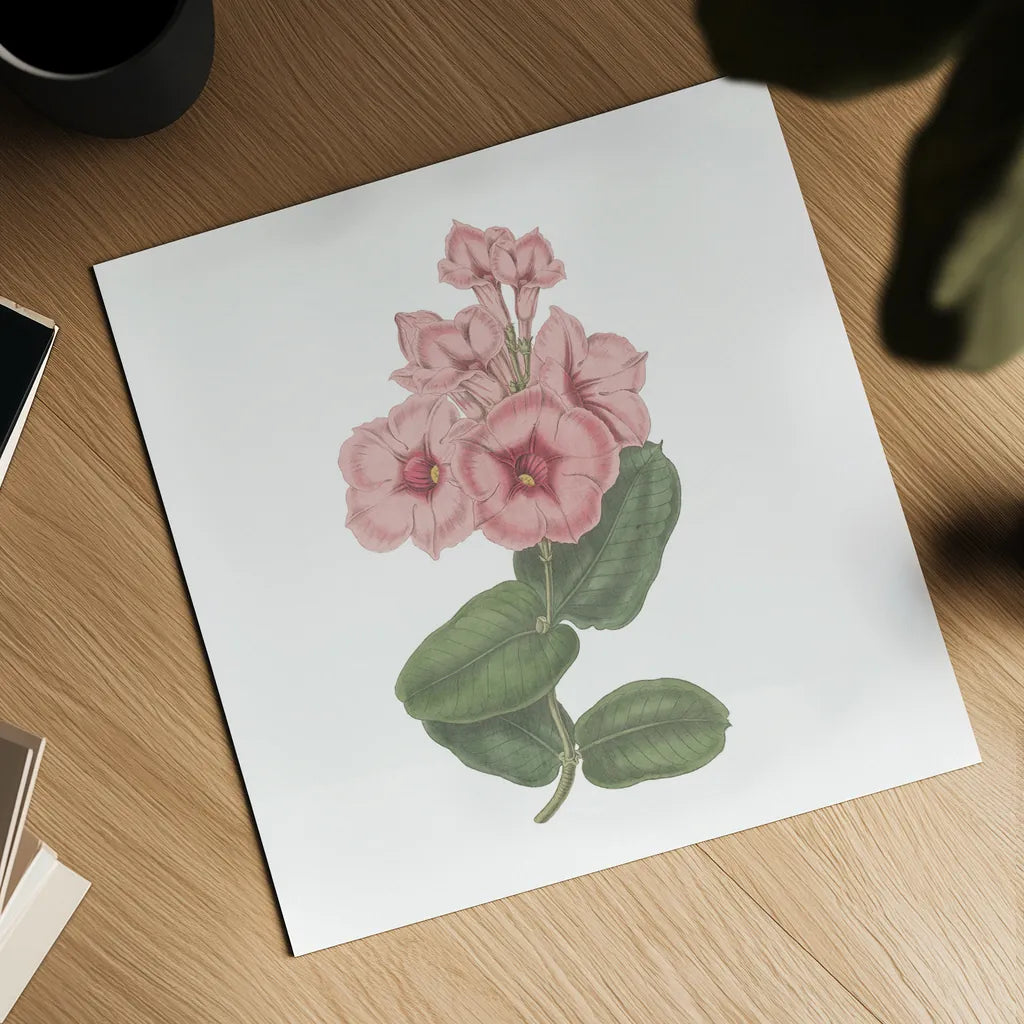 Monument Etching Tile Flowers VI by Wild Apple Portfolio. Shown as a detailed flat fine art print, highlighting archival giclee quality. Available as an archival giclee rolled canvas, fine art paper, or poster print. SKU 53763a.