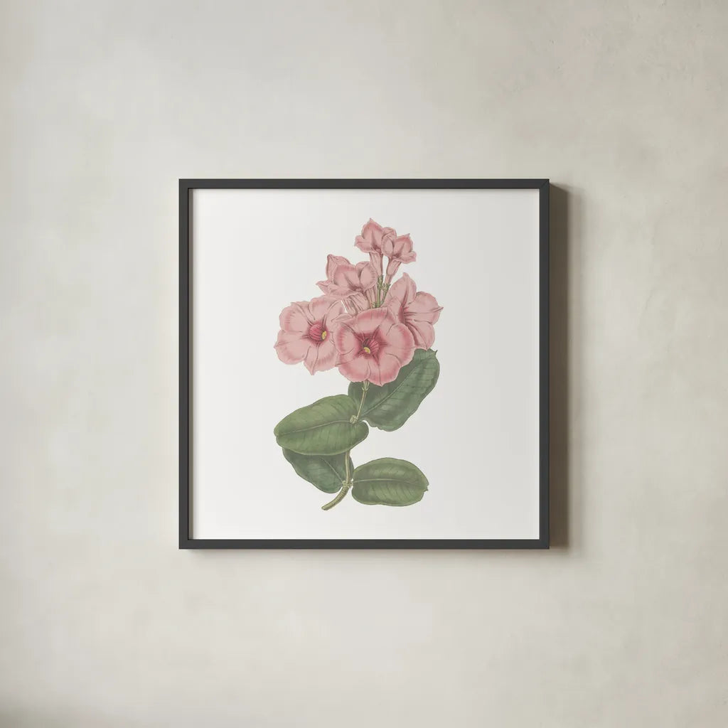 Monument Etching Tile Flowers VI by Wild Apple Portfolio. Shown in a sleek black glass frame for a contemporary gallery look. Available as an archival giclee rolled canvas, fine art paper, or poster print. SKU 53763a.