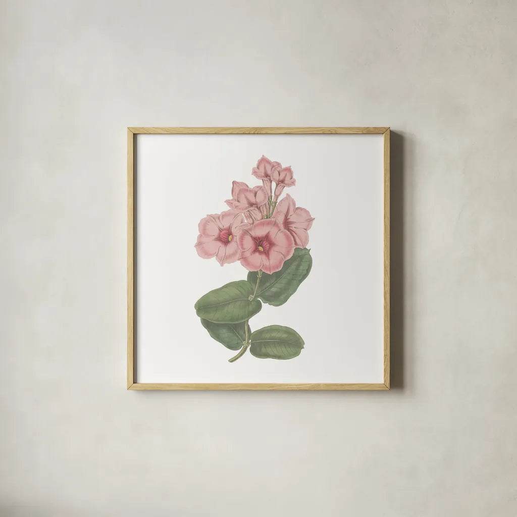 Monument Etching Tile Flowers VI by Wild Apple Portfolio. Shown in a natural wood glass frame for a timeless modern aesthetic. Available as an archival giclee rolled canvas, fine art paper, or poster print. SKU 53763a.