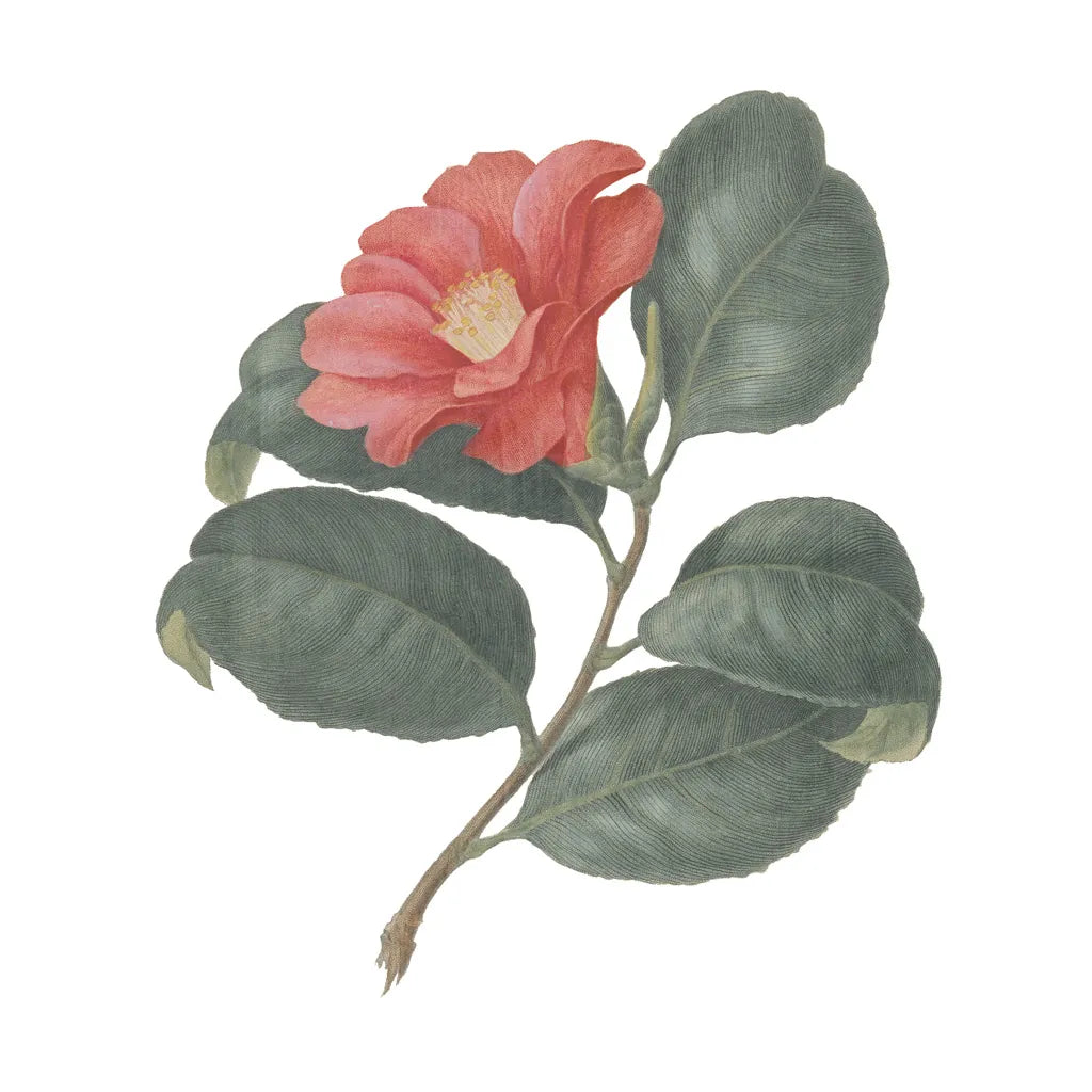 Monument Etching Tile Flowers VII by Wild Apple Portfolio. SKU 53764a. Archival Giclee Fine art print for wall decor.