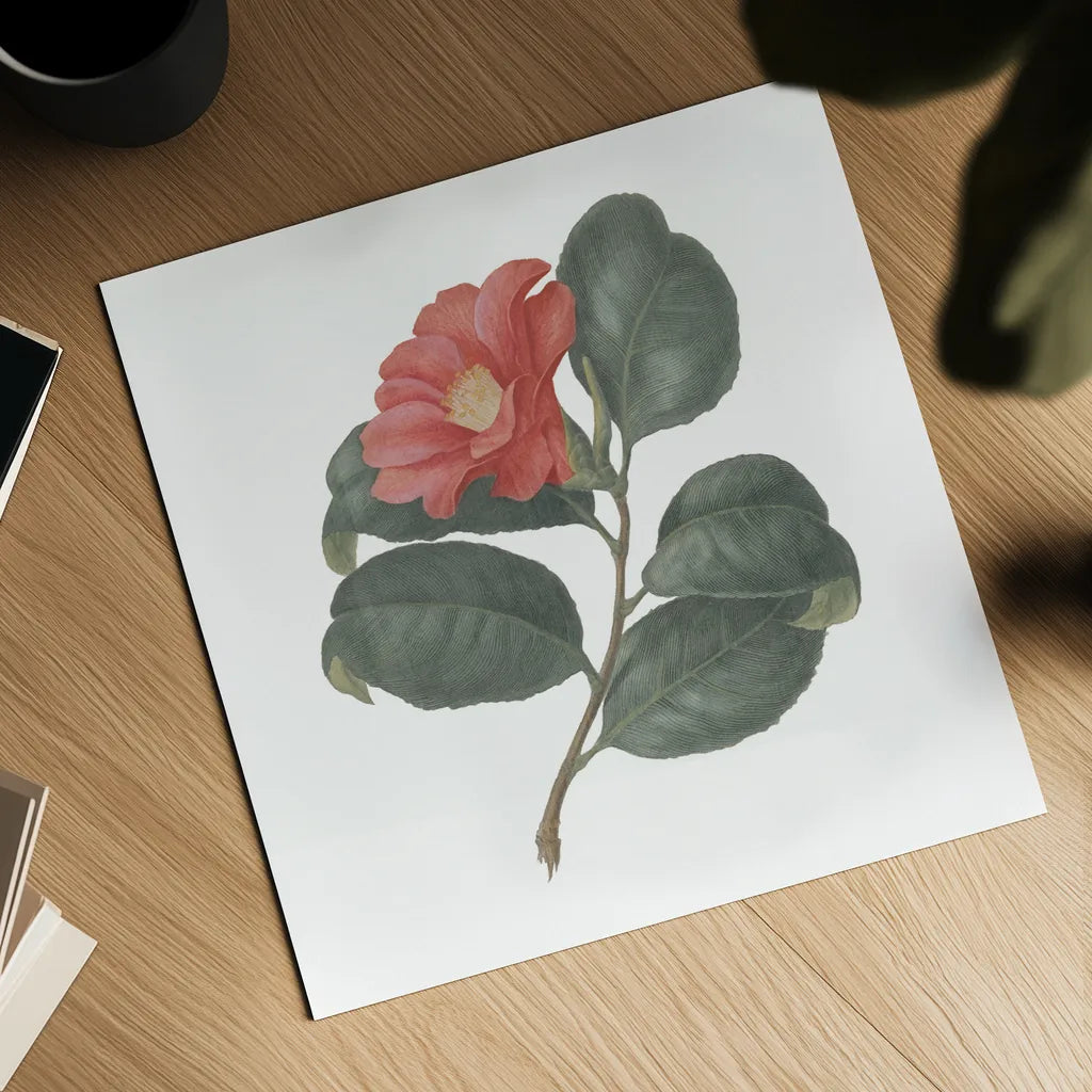 Monument Etching Tile Flowers VII by Wild Apple Portfolio. Shown as a detailed flat fine art print, highlighting archival giclee quality. Available as an archival giclee rolled canvas, fine art paper, or poster print. SKU 53764a.