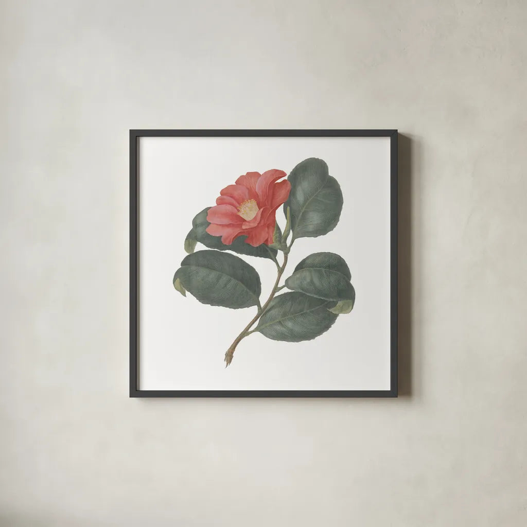 Monument Etching Tile Flowers VII by Wild Apple Portfolio. Shown in a sleek black glass frame for a contemporary gallery look. Available as an archival giclee rolled canvas, fine art paper, or poster print. SKU 53764a.