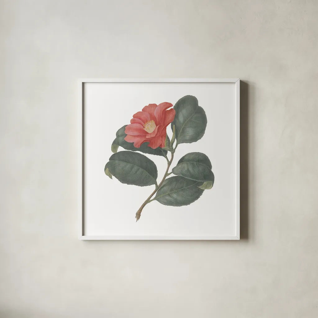 Monument Etching Tile Flowers VII by Wild Apple Portfolio. Shown in a crisp white glass frame for a clean and minimalist style. Available as an archival giclee rolled canvas, fine art paper, or poster print. SKU 53764a.