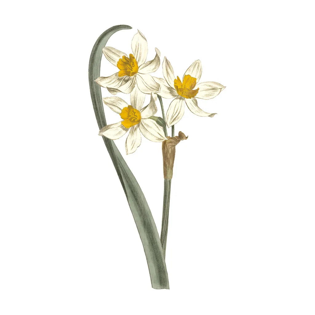 Monument Etching Tile Flowers VIII by Wild Apple Portfolio. SKU 53765a. Archival Giclee Fine art print for wall decor.