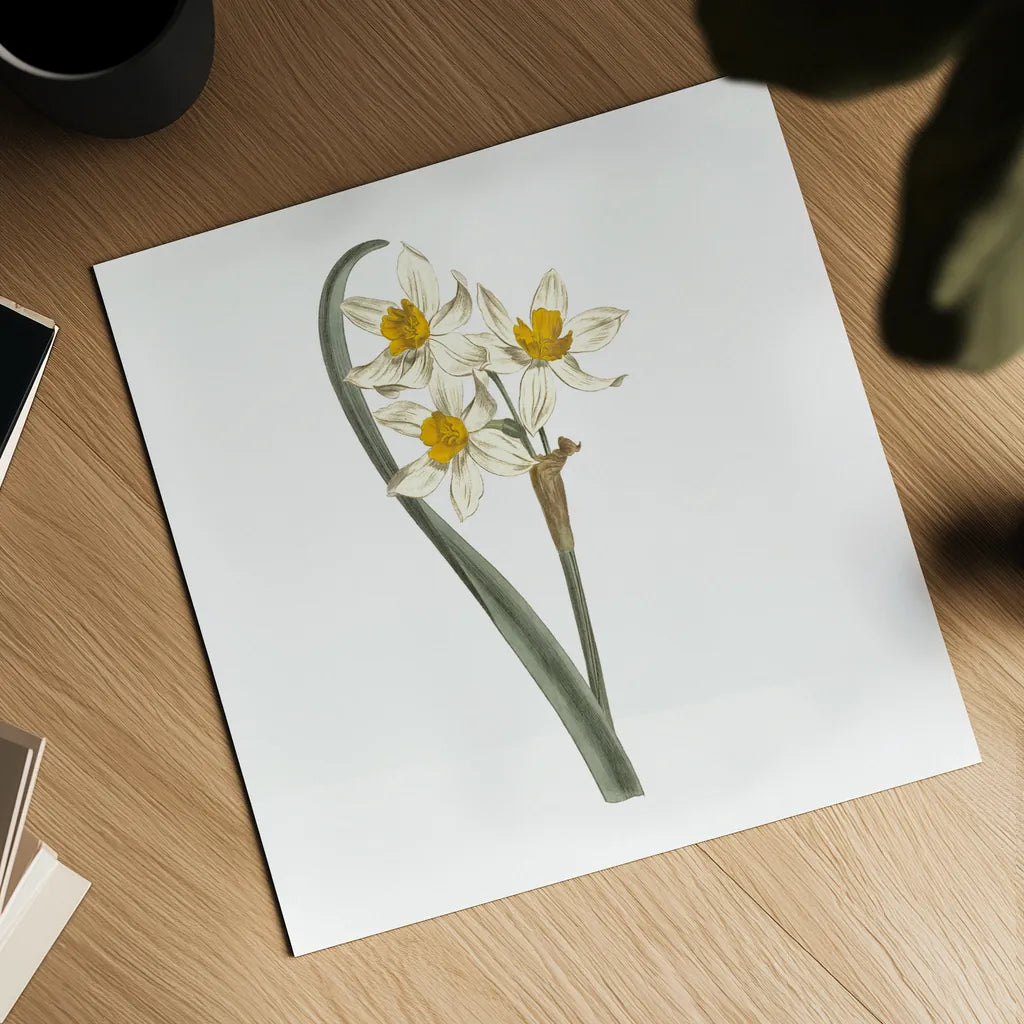 Monument Etching Tile Flowers VIII by Wild Apple Portfolio. Shown as a detailed flat fine art print, highlighting archival giclee quality. Available as an archival giclee rolled canvas, fine art paper, or poster print. SKU 53765a.