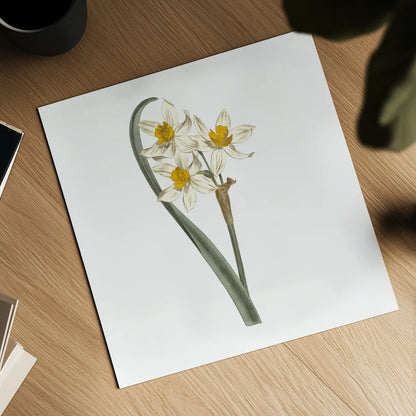 Monument Etching Tile Flowers VIII by Wild Apple Portfolio. Shown as a detailed flat fine art print, highlighting archival giclee quality. Available as an archival giclee rolled canvas, fine art paper, or poster print. SKU 53765a.