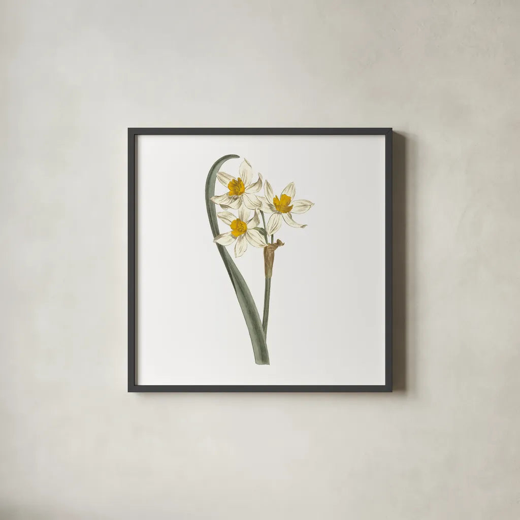 Monument Etching Tile Flowers VIII by Wild Apple Portfolio. Shown in a sleek black glass frame for a contemporary gallery look. Available as an archival giclee rolled canvas, fine art paper, or poster print. SKU 53765a.