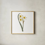 Monument Etching Tile Flowers VIII by Wild Apple Portfolio. Shown in a natural wood glass frame for a timeless modern aesthetic. Available as an archival giclee rolled canvas, fine art paper, or poster print. SKU 53765a.