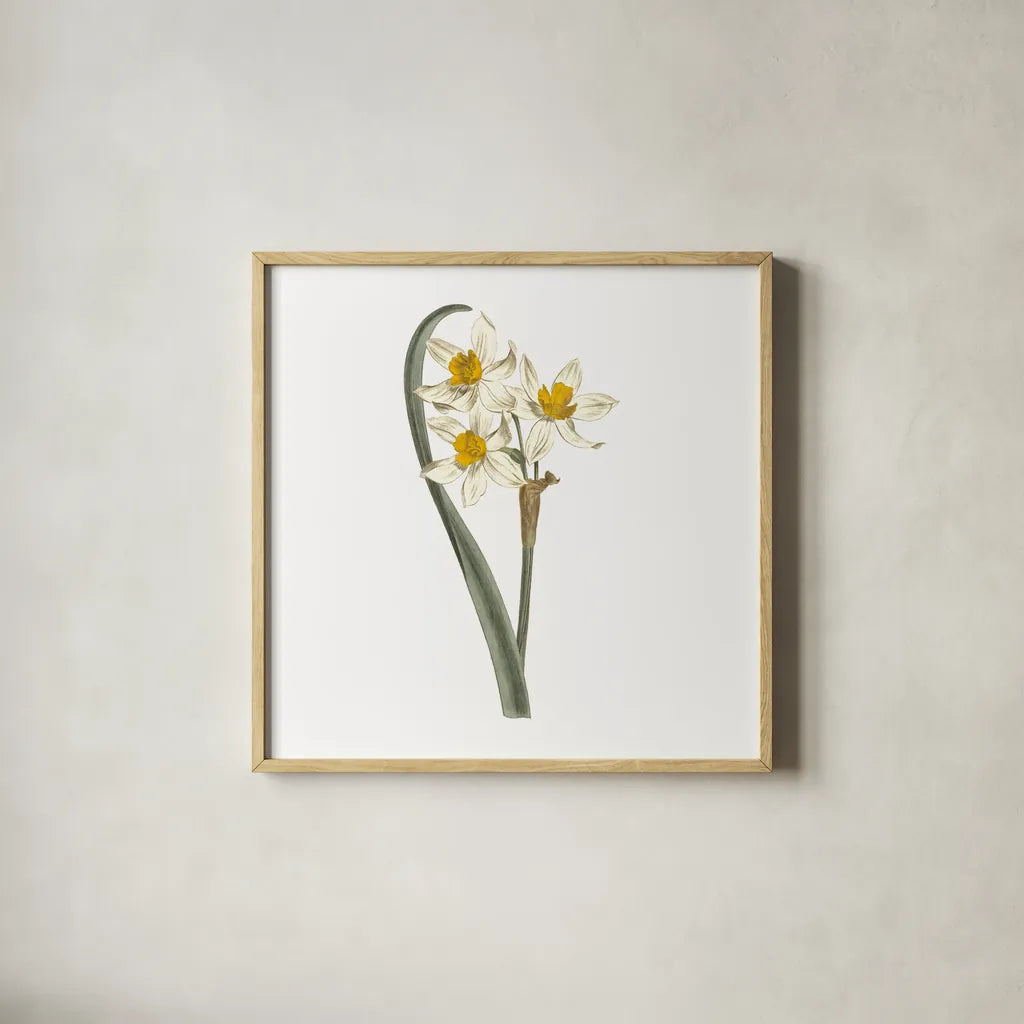Monument Etching Tile Flowers VIII by Wild Apple Portfolio. Shown in a natural wood glass frame for a timeless modern aesthetic. Available as an archival giclee rolled canvas, fine art paper, or poster print. SKU 53765a.