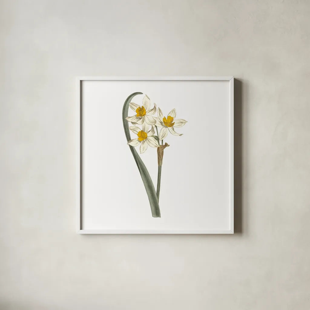 Monument Etching Tile Flowers VIII by Wild Apple Portfolio. Shown in a crisp white glass frame for a clean and minimalist style. Available as an archival giclee rolled canvas, fine art paper, or poster print. SKU 53765a.