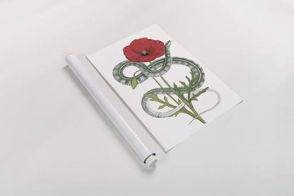 Natural Beauty I Crop by Wild Apple Portfolio. shown as a rolled paper print. Available as archival giclee rolled canvas, fine art paper, or poster print. SKU 56874h.