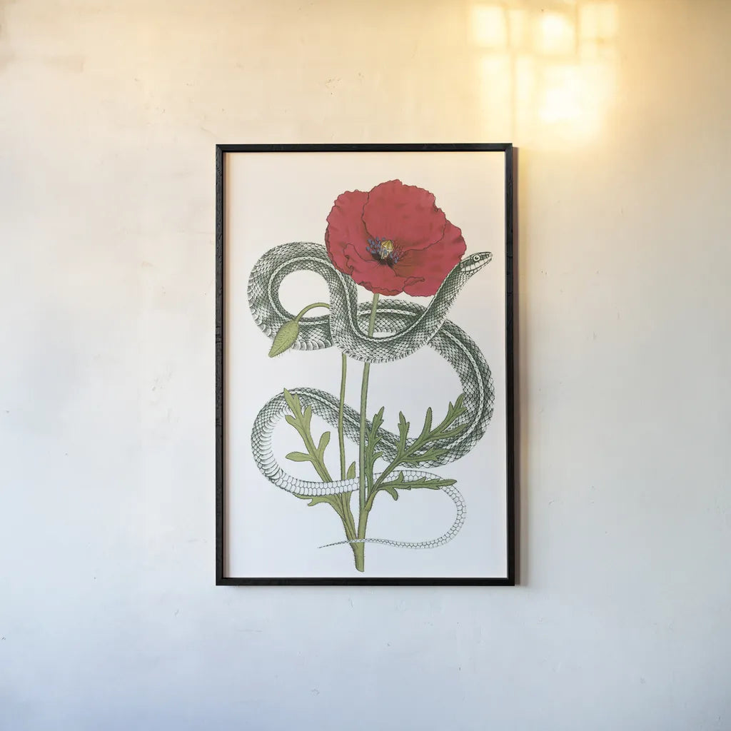 Natural Beauty I Crop by Wild Apple Portfolio. shown as a paper print in a black flame. Available as a archival giclee rolled canvas, fine art paper, or poster print. SKU 56874h.