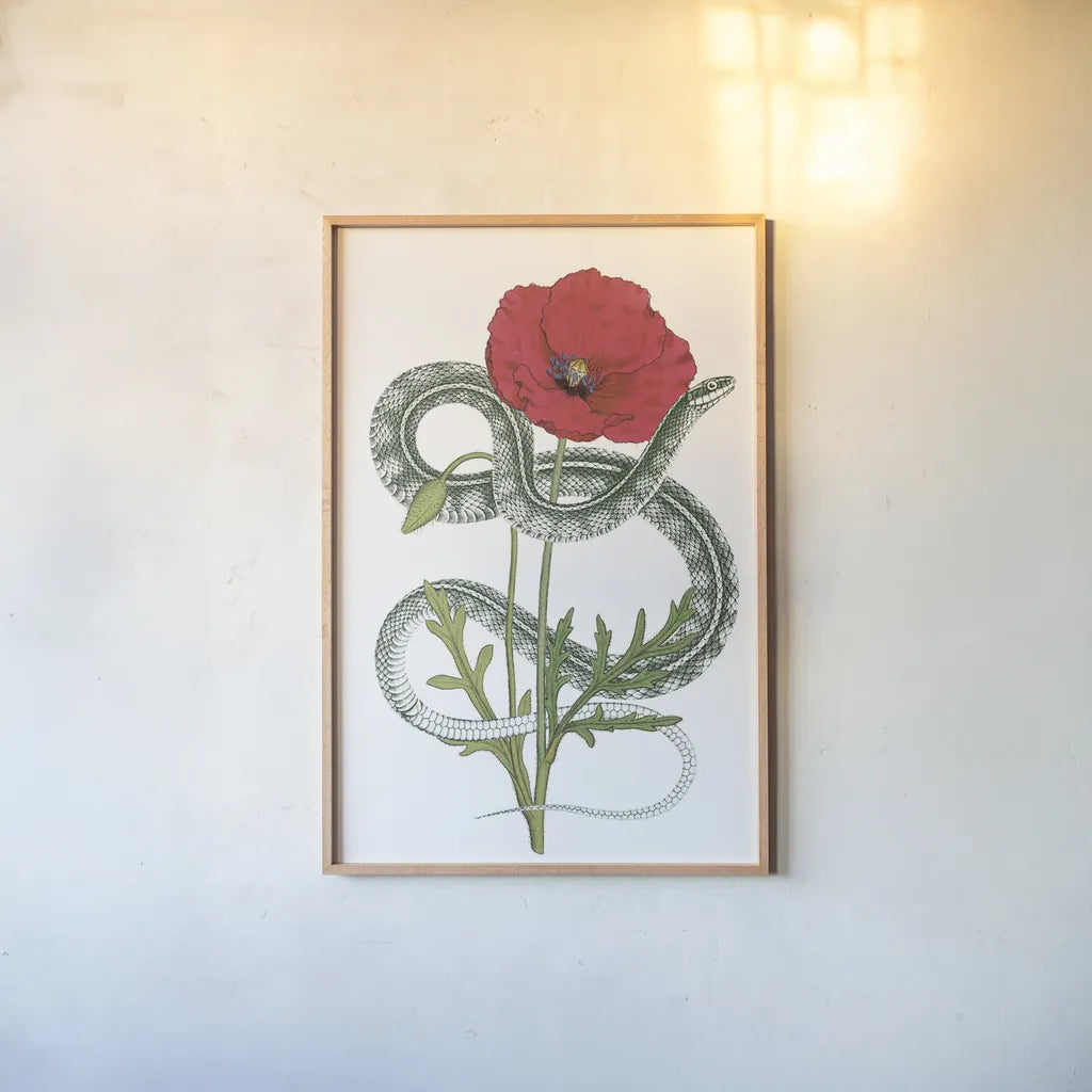 Natural Beauty I Crop by Wild Apple Portfolio. shown as a paper print in a natural frame. Available as a archival giclee rolled canvas, fine art paper, or poster print. SKU 56874h.