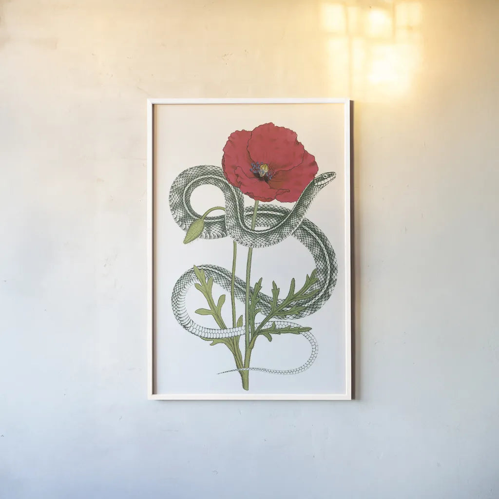 Natural Beauty I Crop by Wild Apple Portfolio. shown as a paper print in a white frame. Available as a archival giclee rolled canvas, fine art paper, or poster print. SKU 56874h.